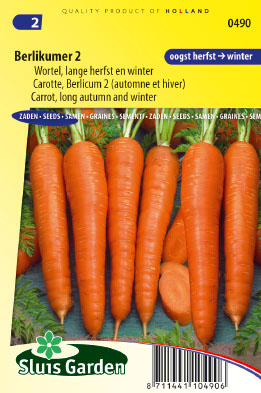 Carrote Berlikumer 2 (Long Autumn and Winter)