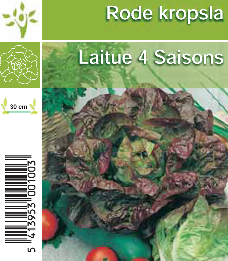 Laitue 4 Saison tray (8x6)