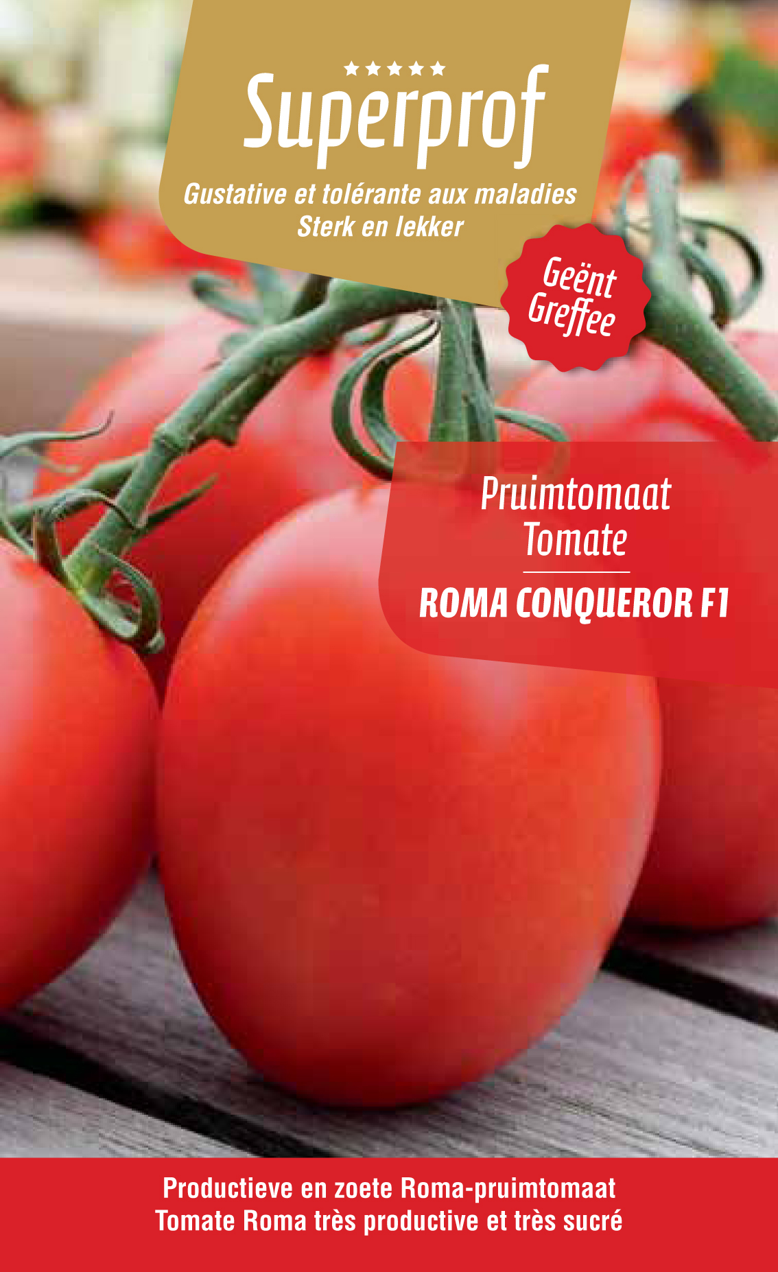 tomate greffée Roma (tray 8 pot)