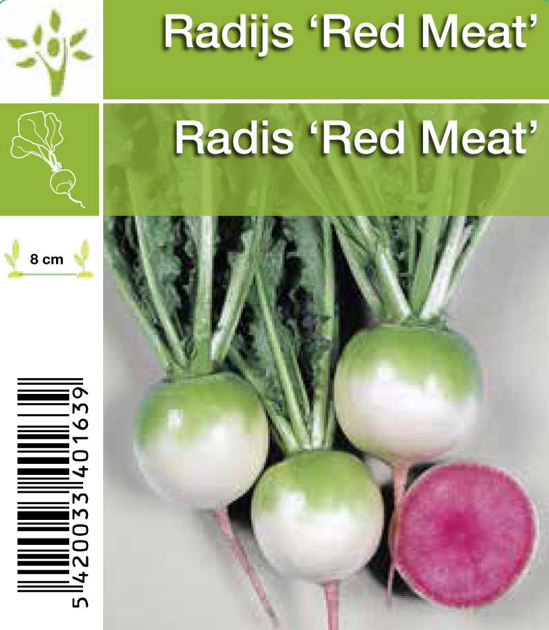 Radijsjes 'Red Meat'(per tray 8*6)