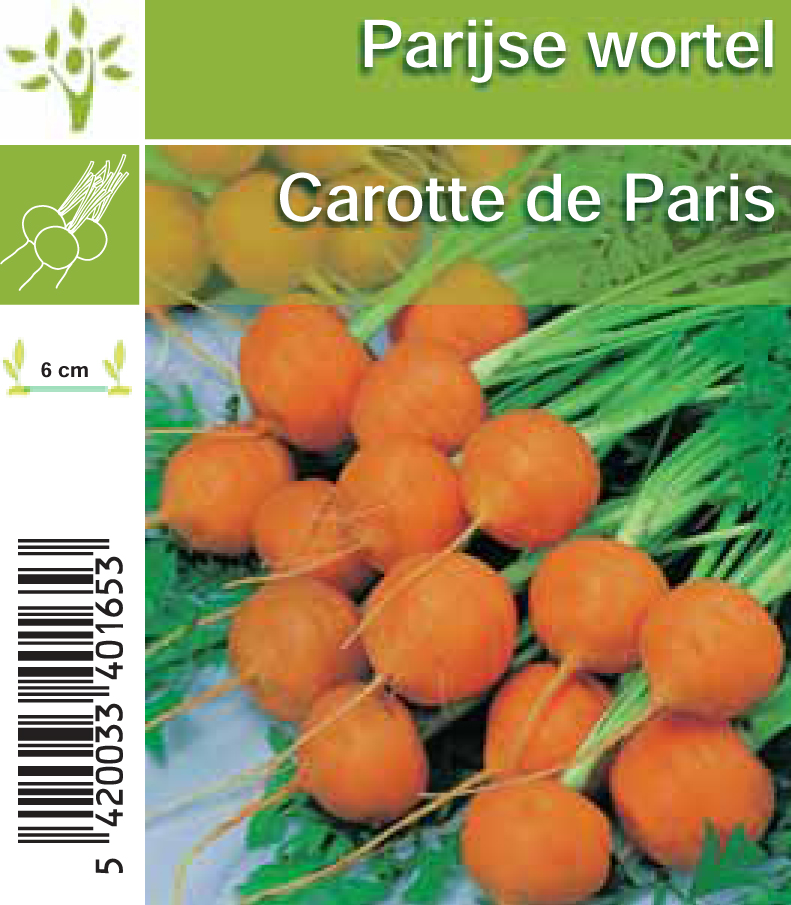 Carotte Parisienne (tray 8*6)