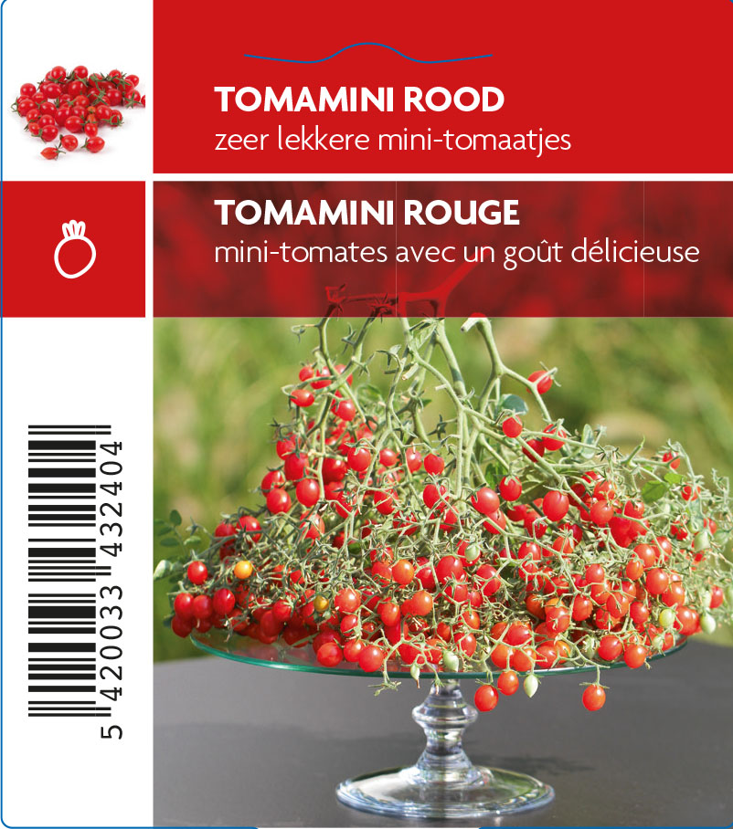 Tomamini rood (tray 12 pot)