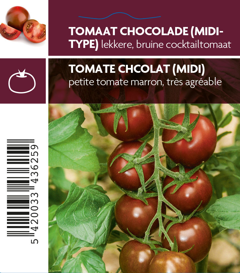 Tomaat Chocolade (tray 12 pot)