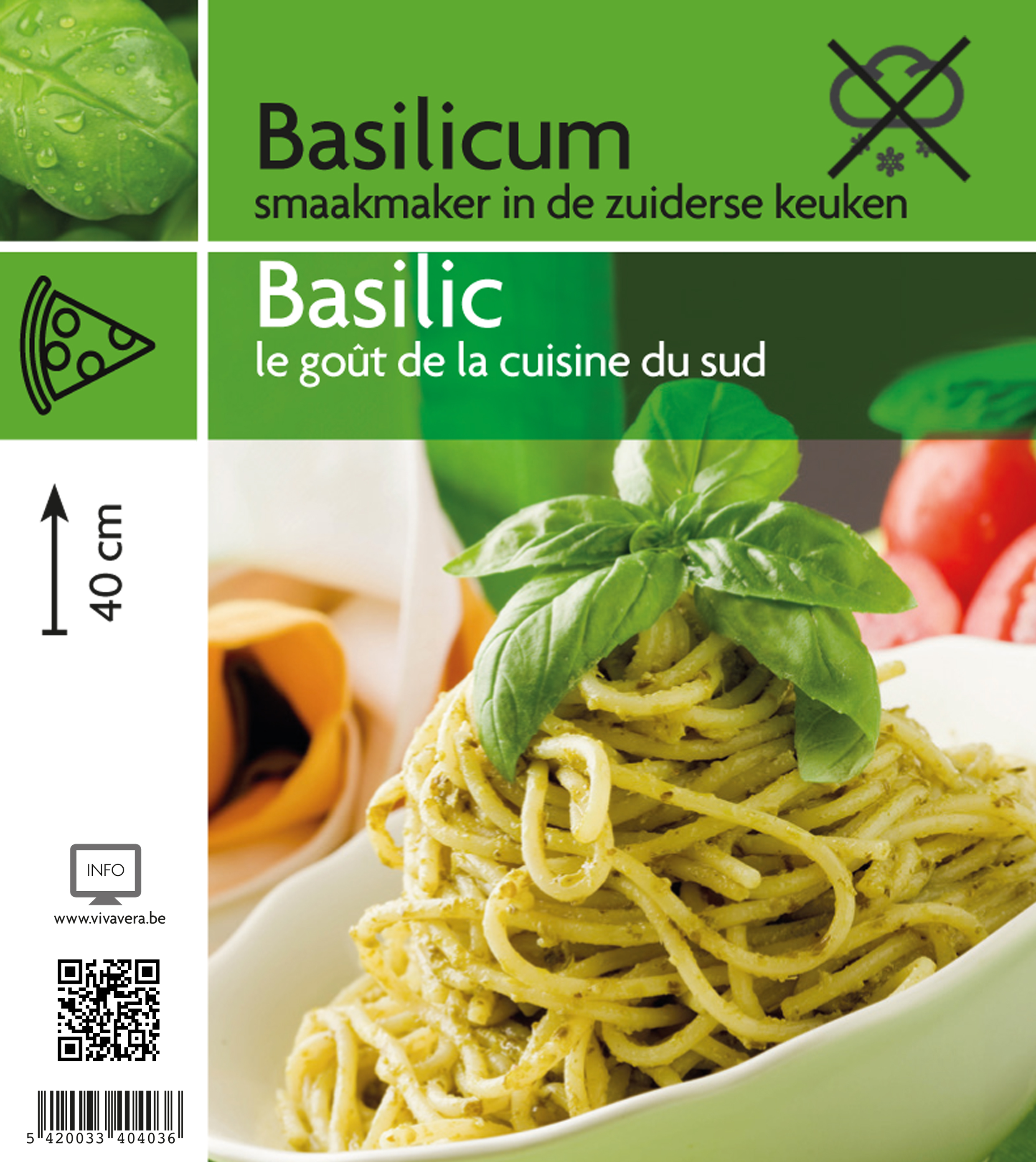 Basilic (tray 15 pot)