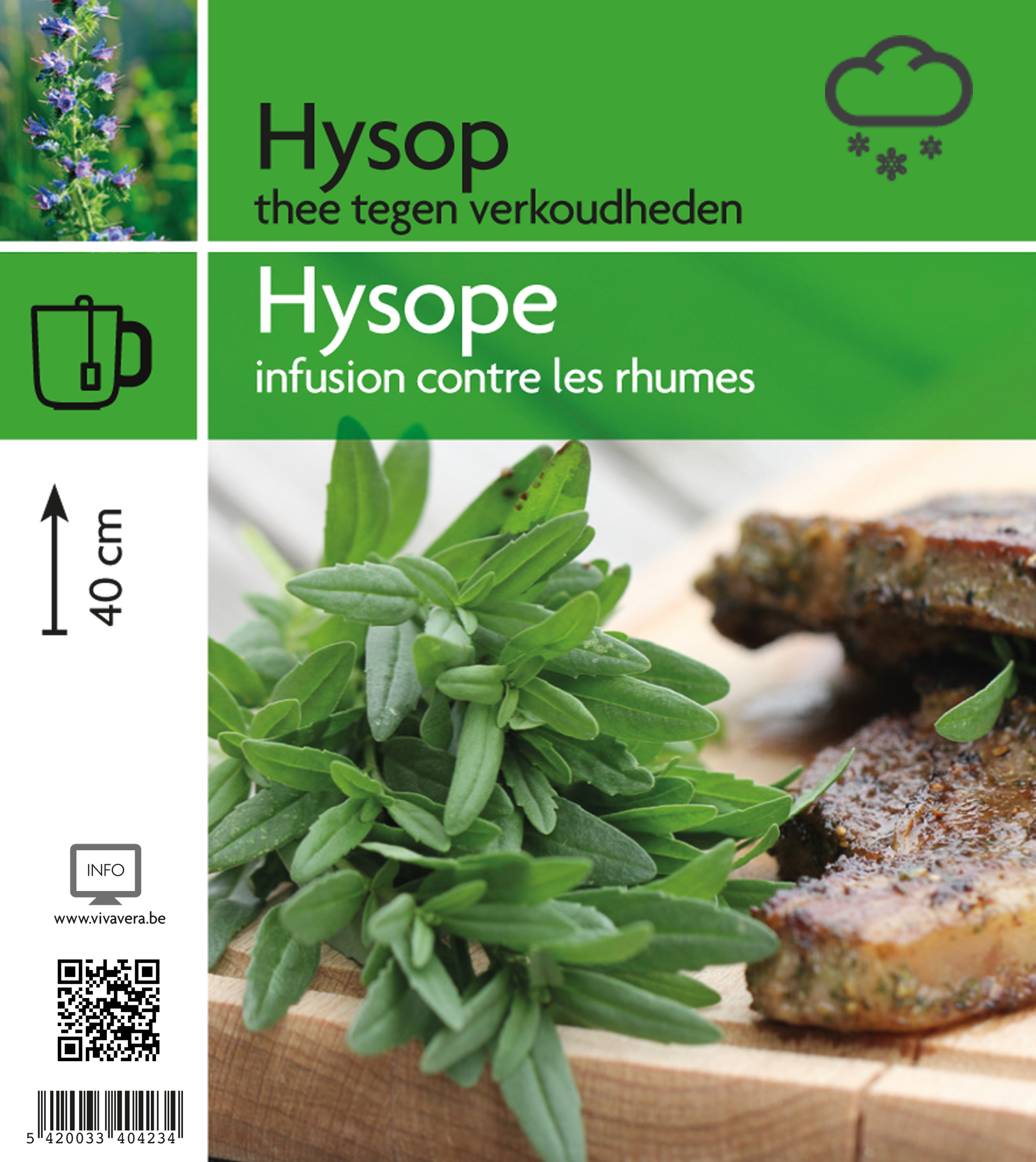 Hysope (tray 15 pot)