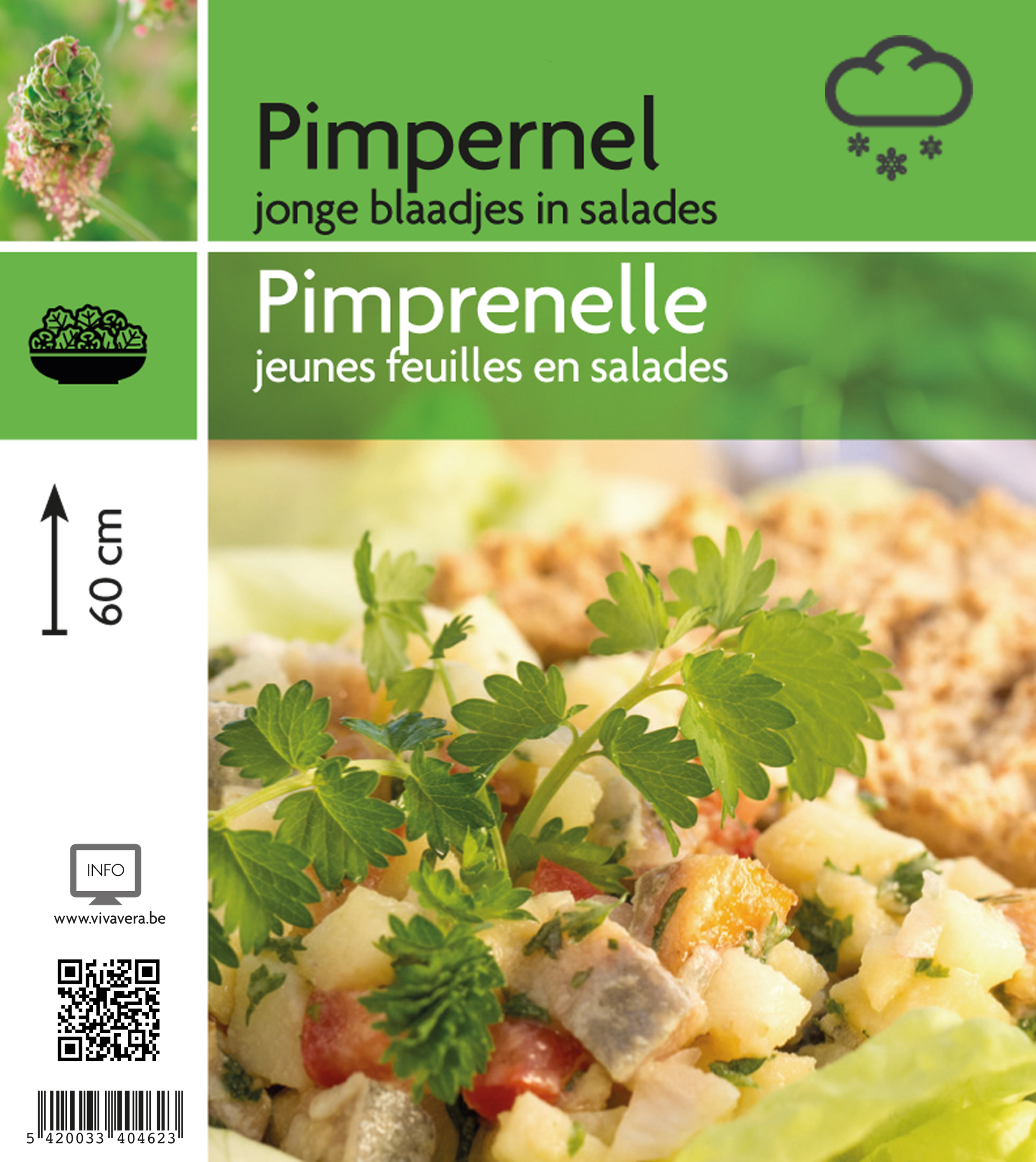 Pimpernelle (tray 15 pot)