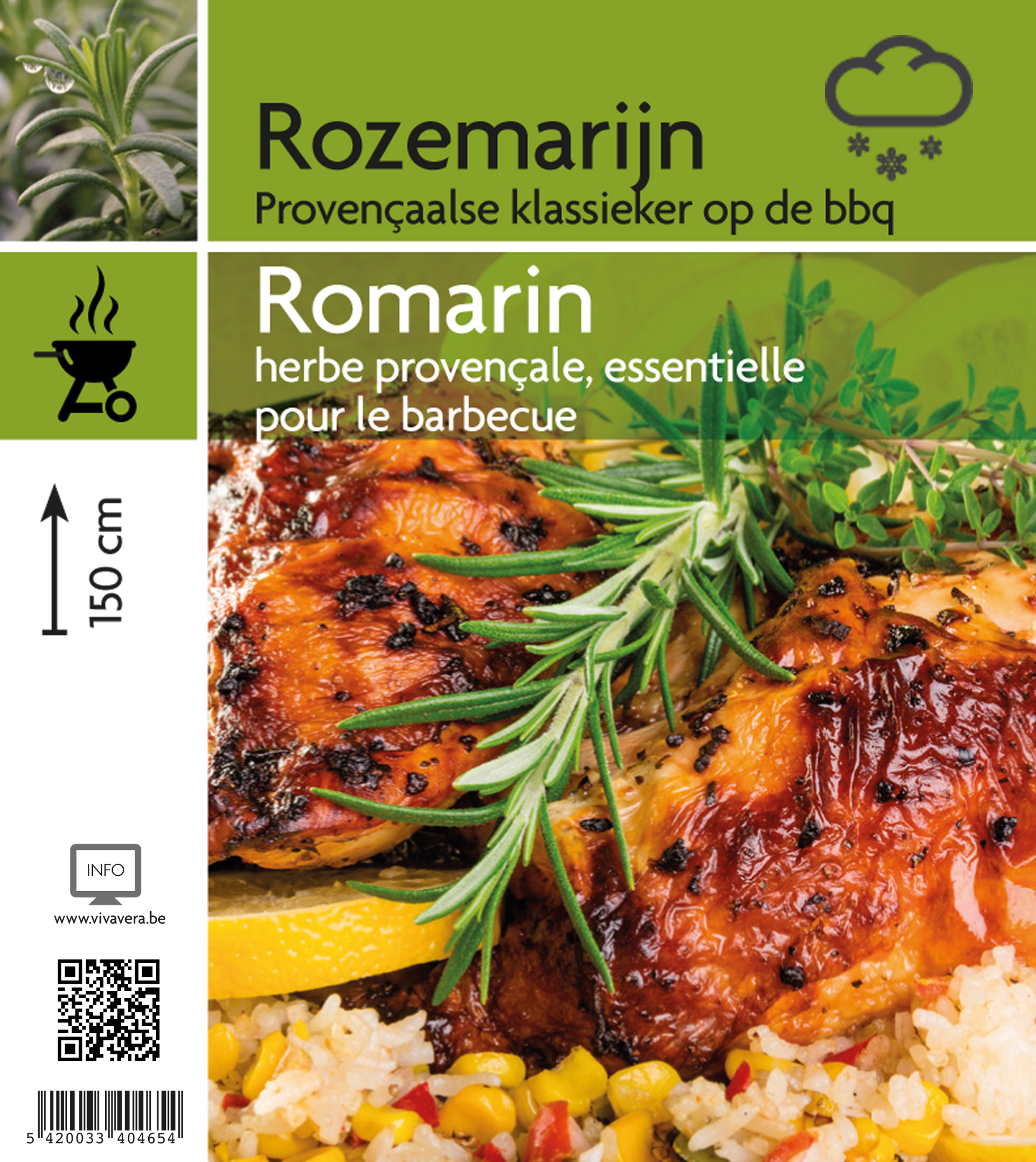 Romarin (tray 15 pot)