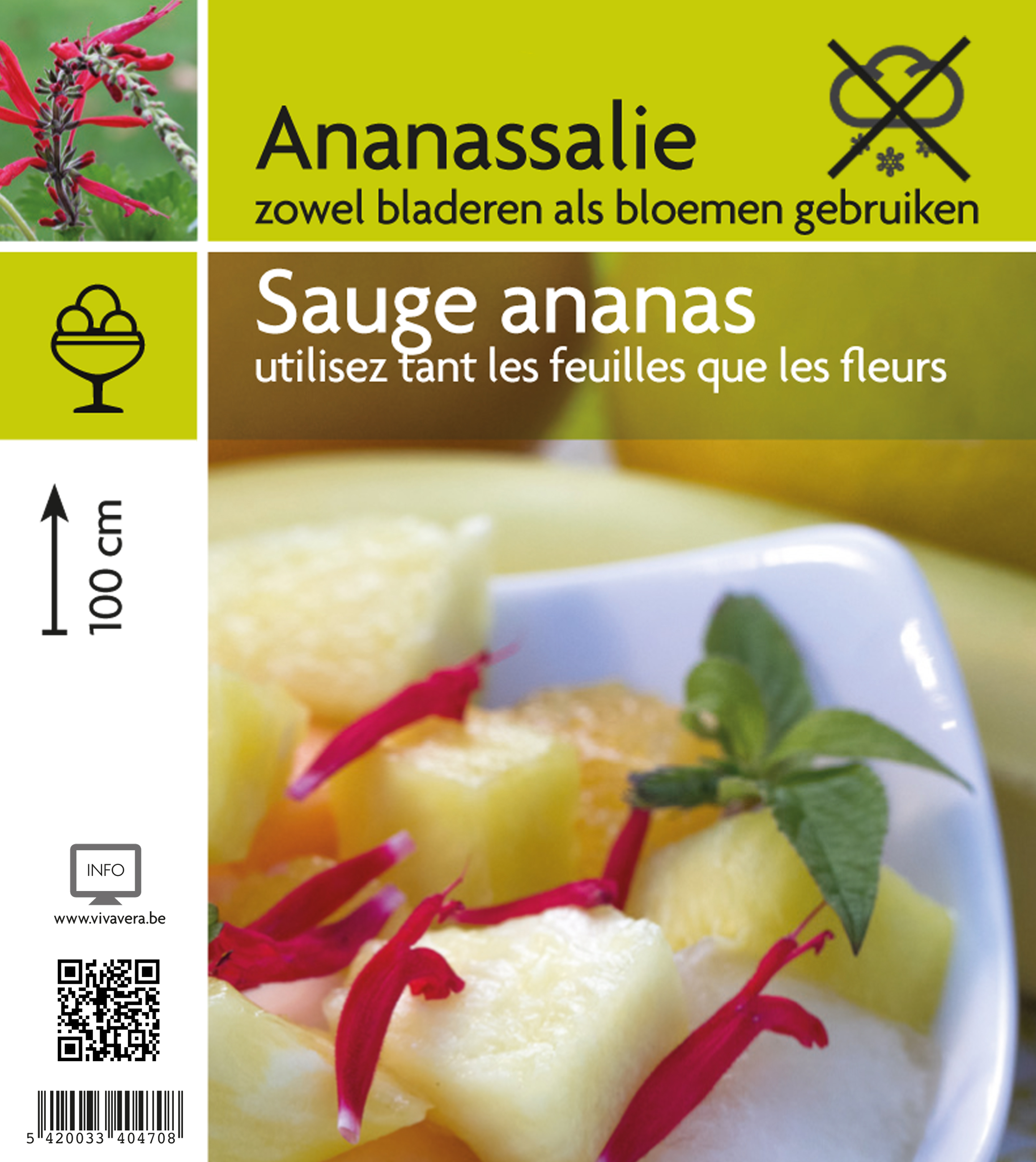 Sauge ananas (tray 15 pot)