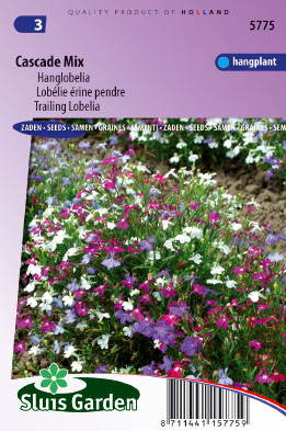 Lobelia erinus pendula Cascade mix