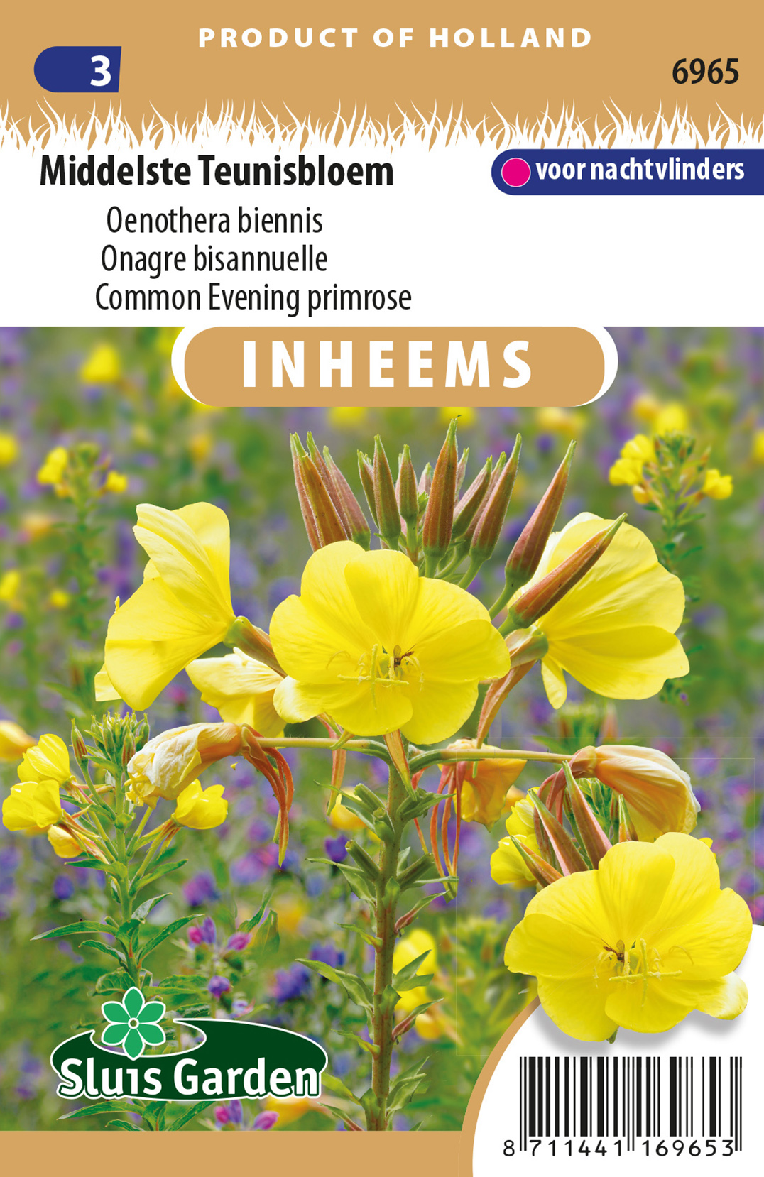 Oenothera biennisMiddelste Teunisbloem