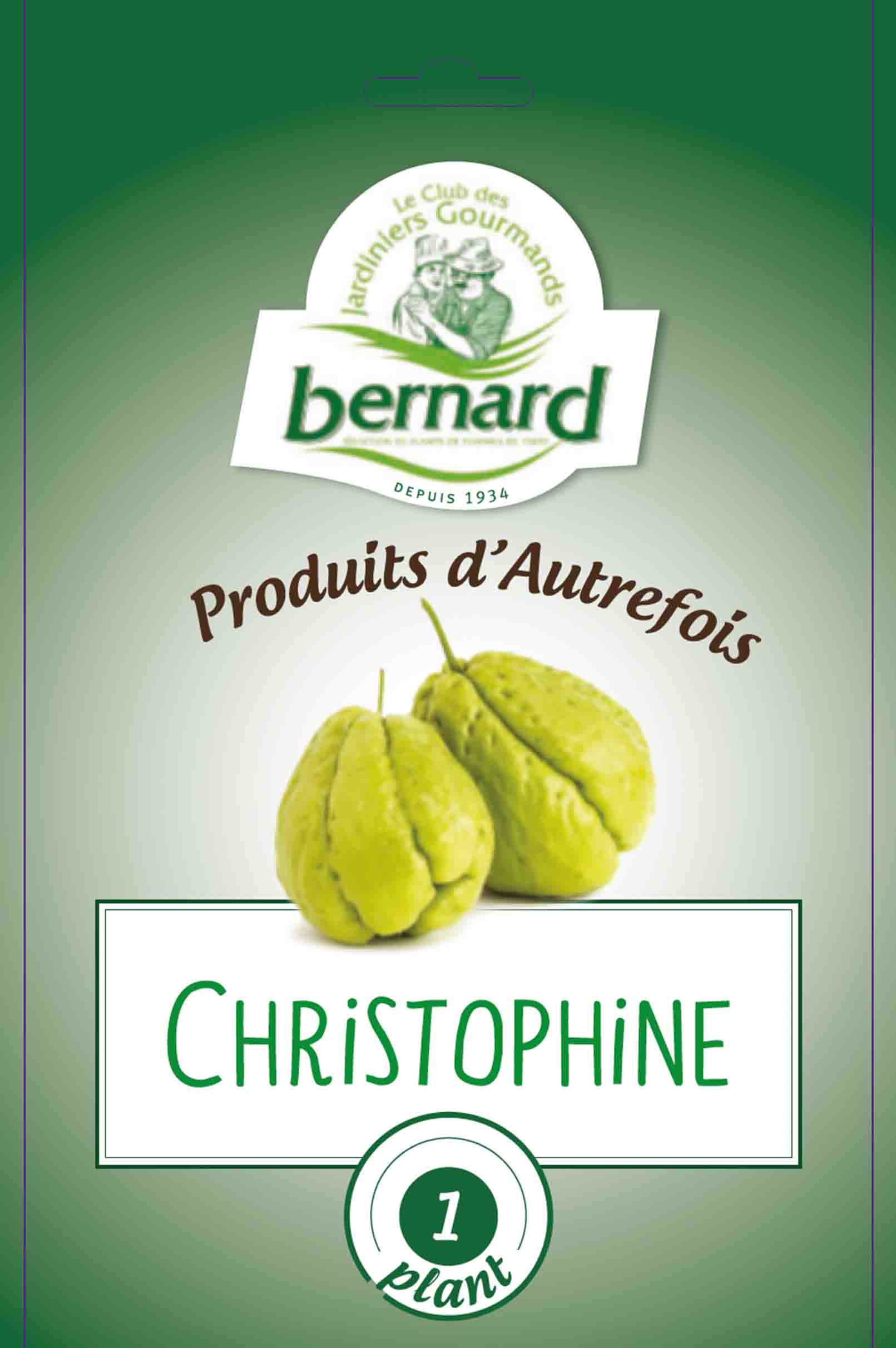 Christophine 1Stuk