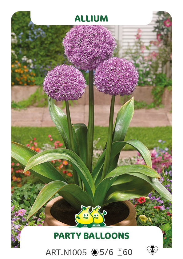 Allium Party Balloons