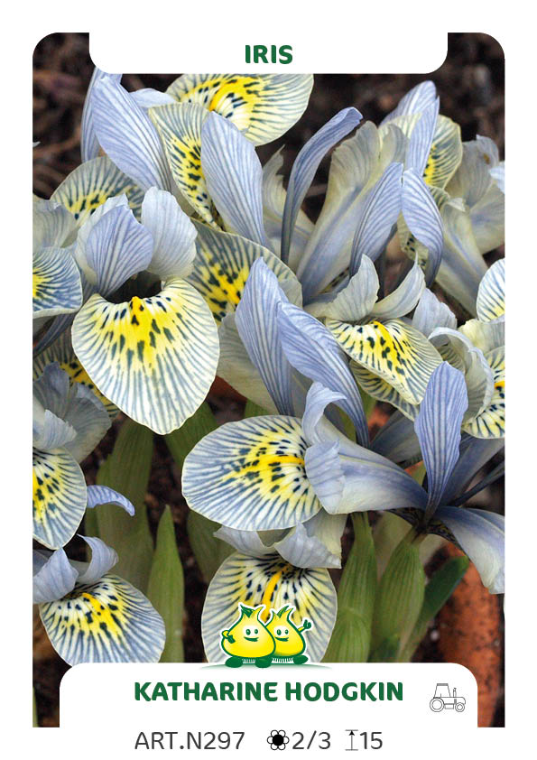 Bot. Iris Katharine Hodgkin