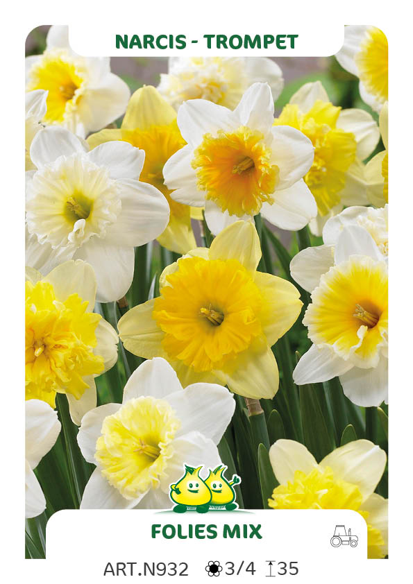 Narcis Follies Mix