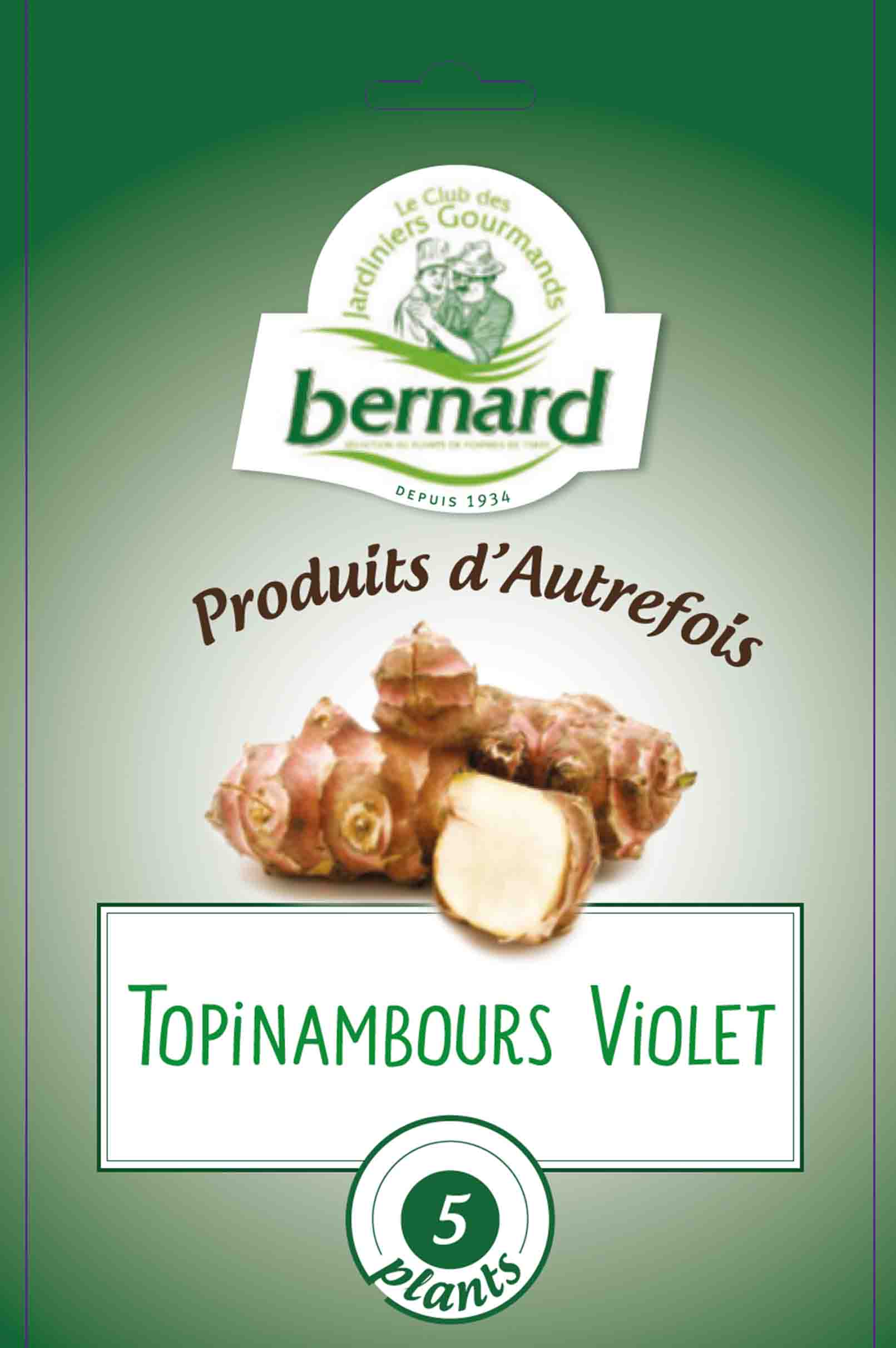 Topinambourg violet - aardpeer 5stuks