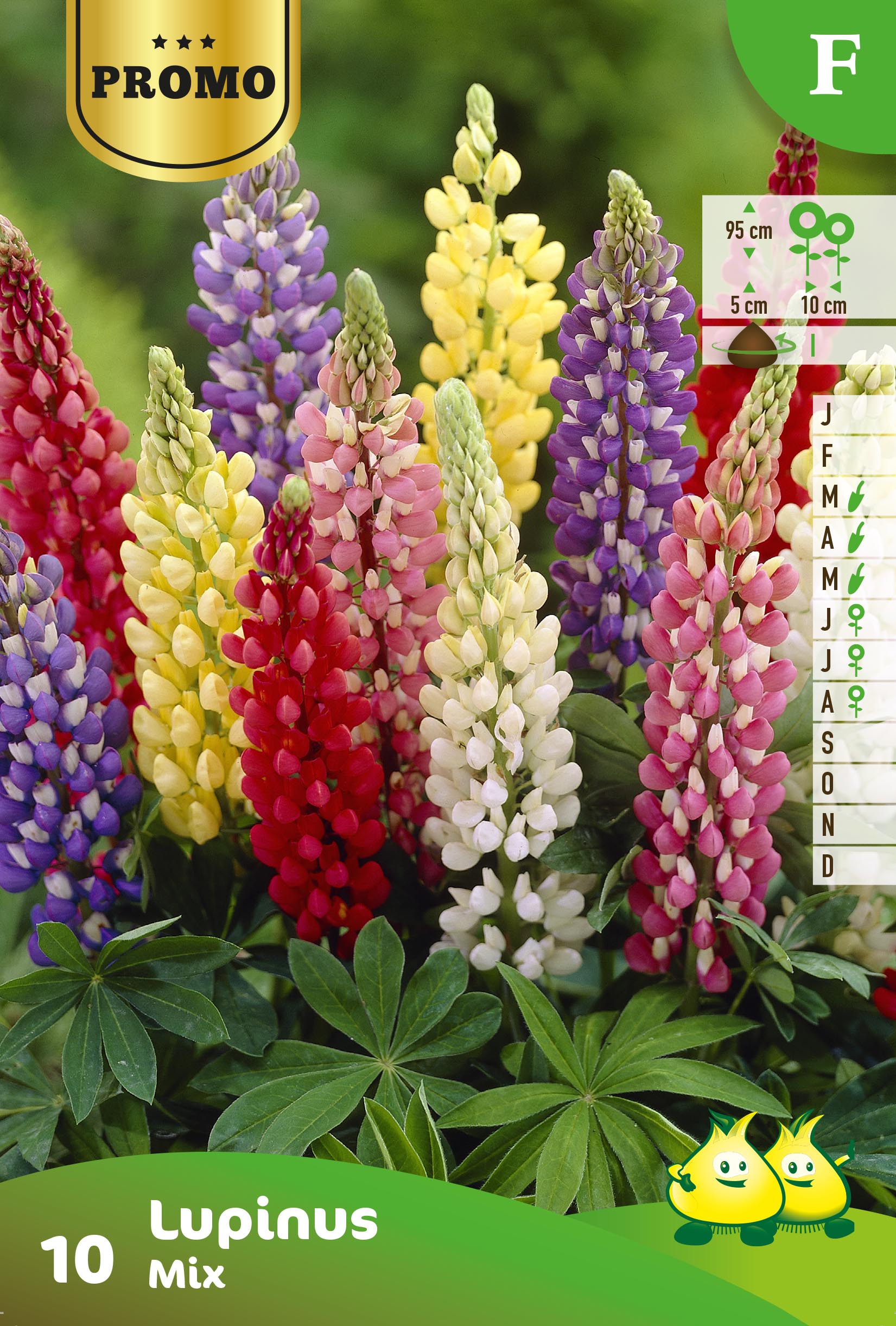 Sachets Lupines mix 10 bulbes