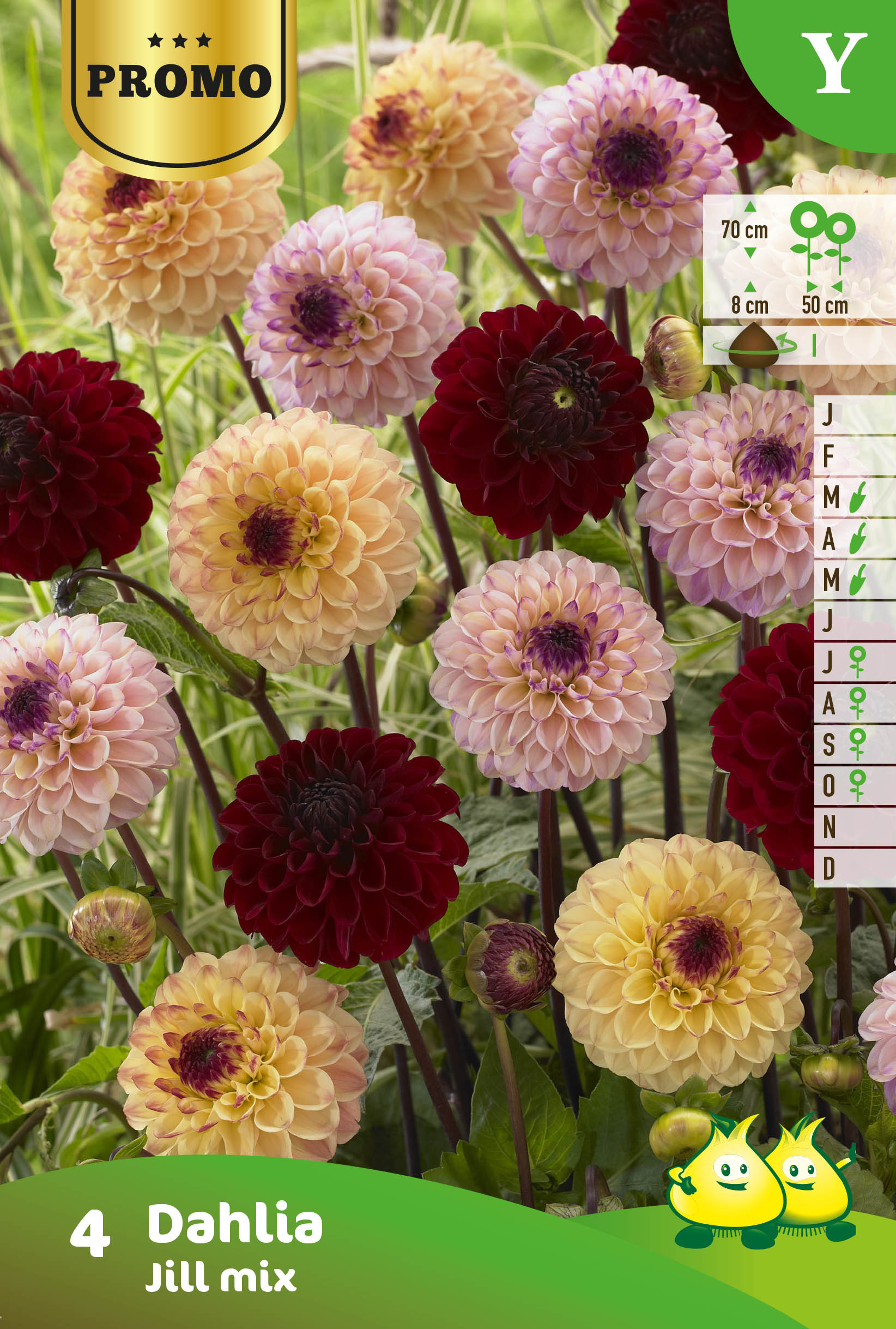 Sachets Dahlia Jill mix 4 pieces