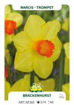 Narcis Brackenhurst