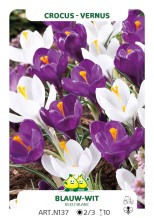 Crocus Vernus Blauw - Wit Mix ( per veelvouden van 100 stuks)