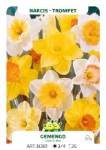 Narcis Gemengd (per veelvouden van 100 stuks)