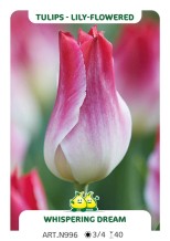 Tulp Whispering Dream