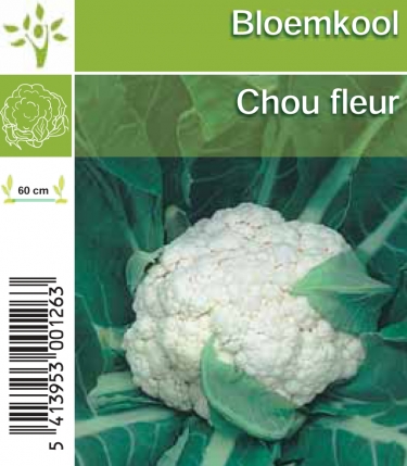 Chou  fleur tray (8x6)