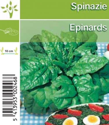 Epinards tray (8x6)