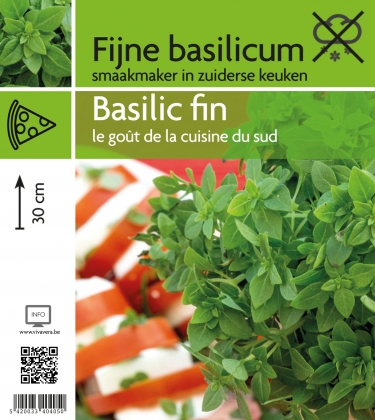 Basilic fin (tray 15 pot)