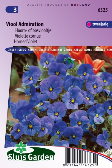 Viola cornuta hybrida Admiration
