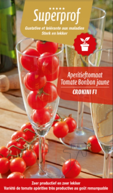 Tomate Cerise Crokini(tray 8 pot)