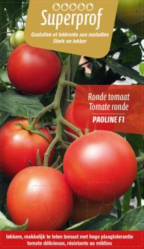 tomaat ronde Paoline F1 (tray 8 pot)