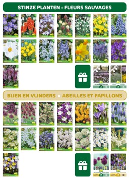 L'île à bulbes de fleurs - instagram 65*5 sachets + 55 sachets kraft